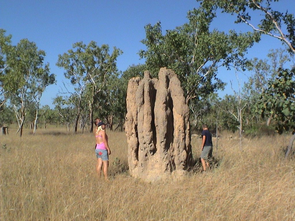 Australia_explore_kids_family_travel_adventure