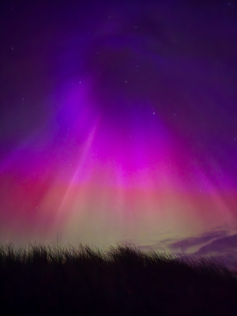 Northern lights purple with grass in the horizon
