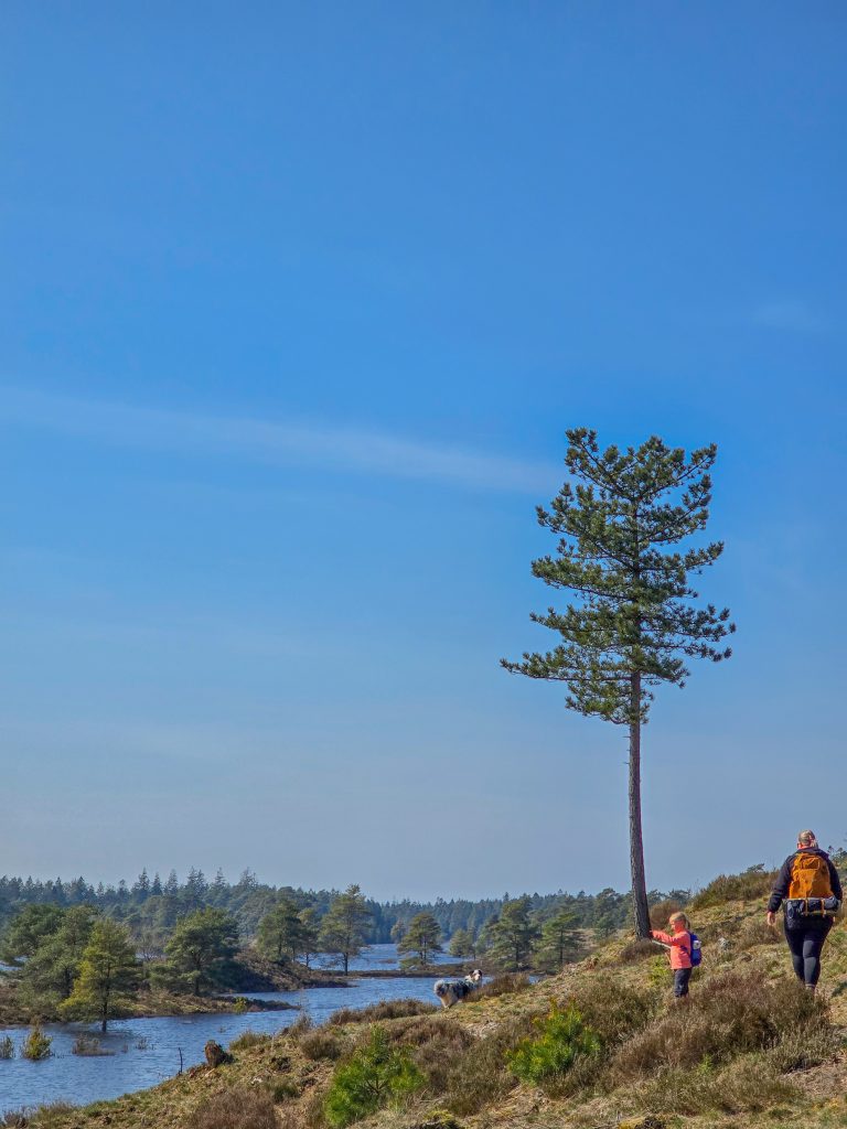 Hike_family_trails_view_denmark_syvårssøerne