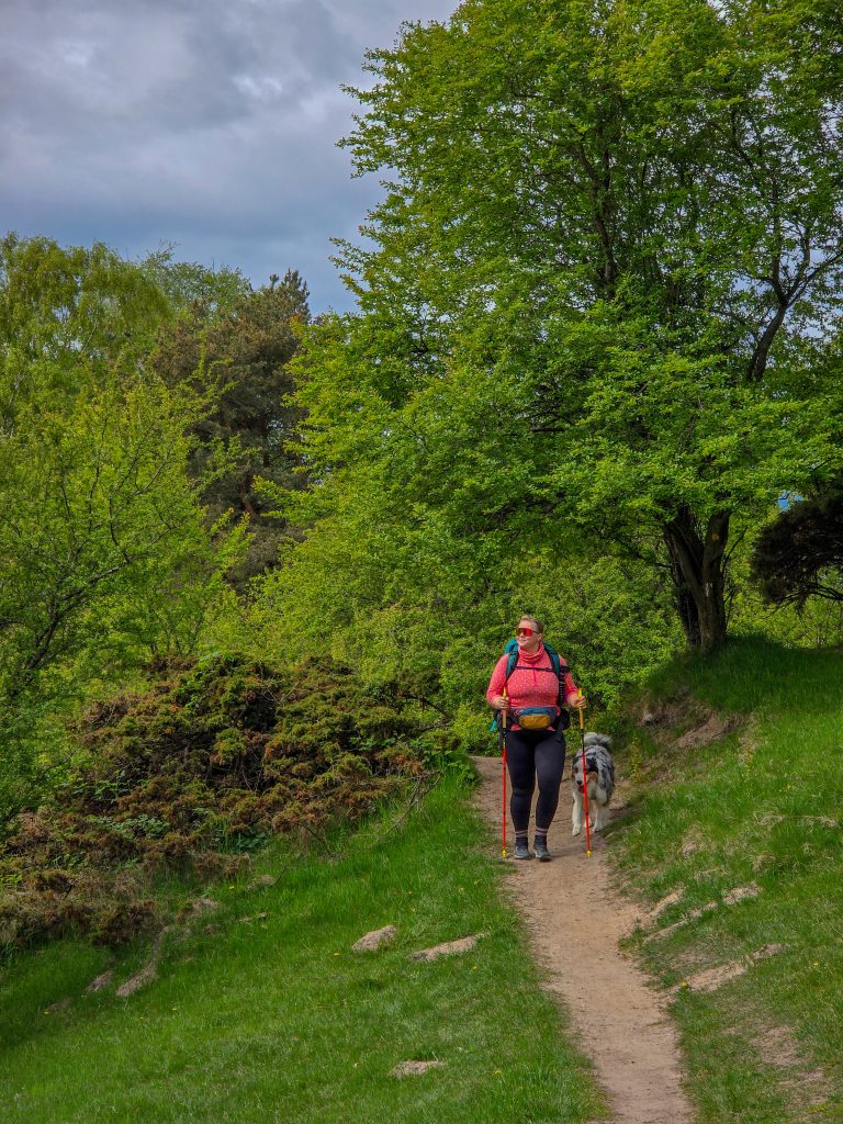 Hiking_trails_djursland_bjergetapen_trail_summer_denmark