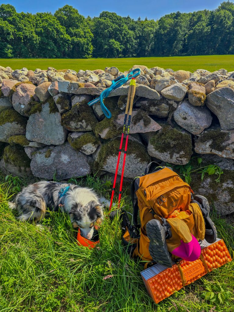 Hiking_trails_explore_denmark_kyststien