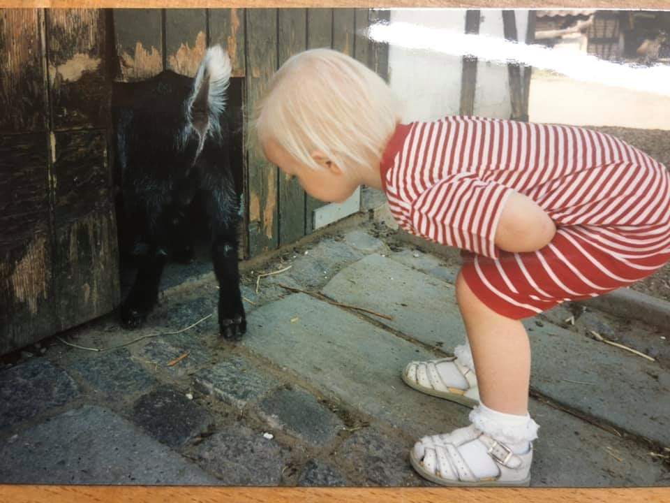 Kid_goat_explore