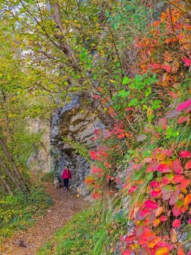 Autumn colours on a hiking trail in Italy