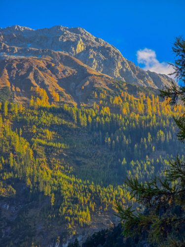Mountain beauty in Austria