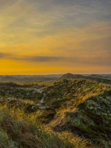 Western Denmark landscape