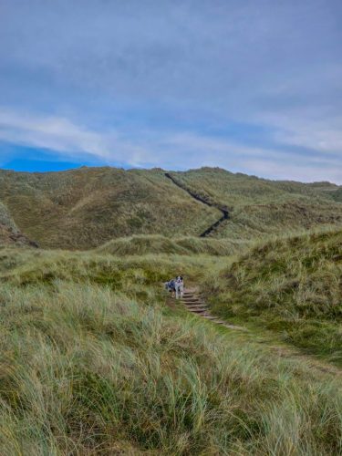 Hill landscape in Denmark