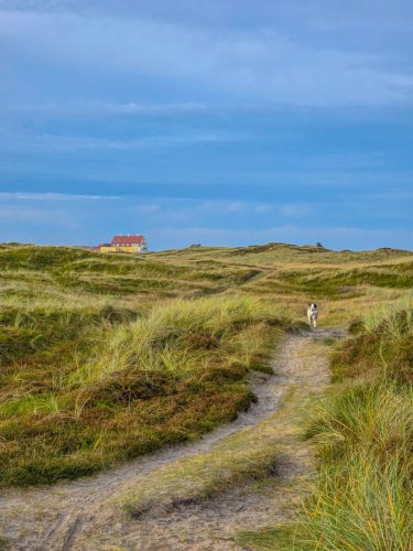 Hiking trail in western Denmark and a bueatiful grass area