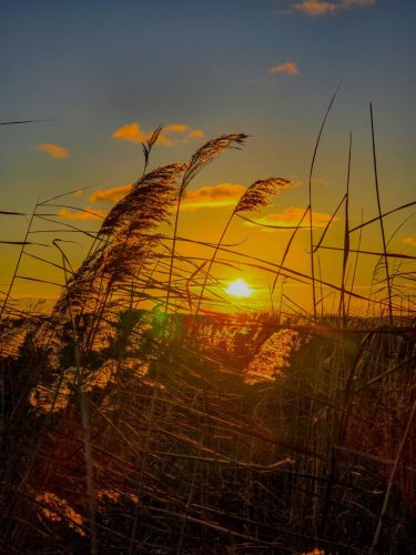 Sunset composition from the beach