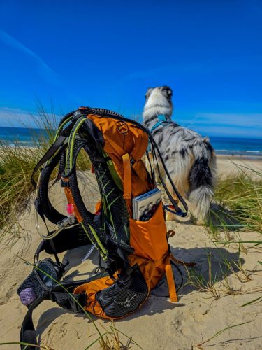 Hiking adventure with dog and backpack