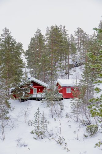 Hidden red cabin in the woods