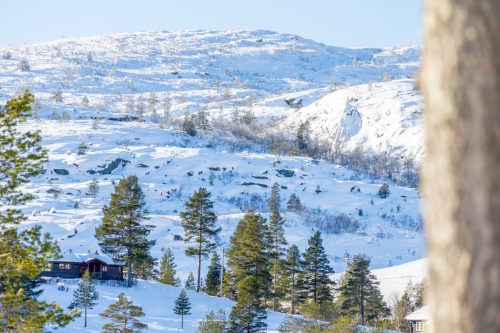 Winter landscape in Norway